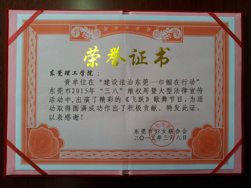 东莞市妇联颁发的荣誉证书-800