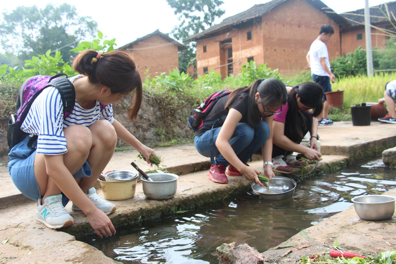 为孤寡老人清洗餐具-800